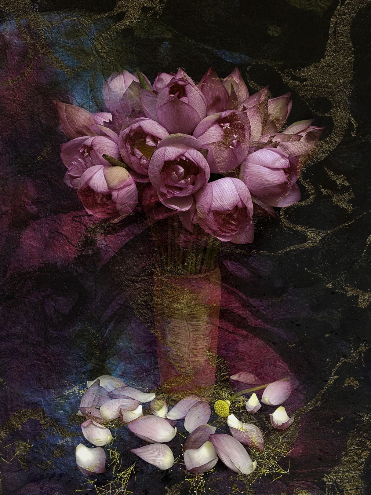 Viet Ha Tran, The Pink Lotus Viet Ha Tran, The Pink Lotus