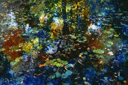 Photography, The breath of autumn II, Viet Ha Tran