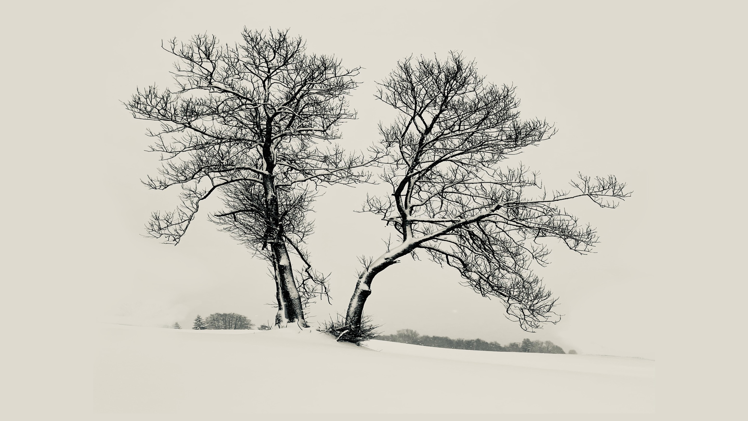 Adrianna MJW, Photographie fine art - Témoins immobiles : paysage hivernal minimaliste en noir et blanc Adrianna MJW, Photographie fine art - Témoins immobiles : paysage hivernal minimaliste en noir et blanc