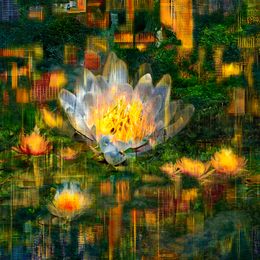 Photography, Belle Nocturne, Hélène Hubert