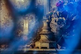 Photography, Reverence No. 8. Paris. France. From the Reverence Series, Victoria Cohen
