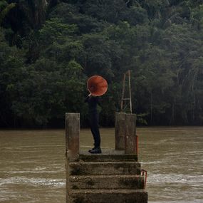 Photography, All possible forests #1. Framed, Maria Jose Arjona