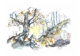 Fine Art Drawings, Un Arbre Magique !, Noël Granger