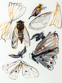 Painting, Nature Collection Sketch No. 1, Elizabeth Becker