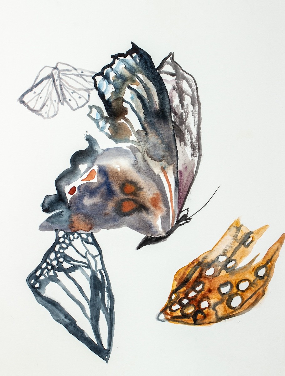 Elizabeth Becker, Nature Collection Sketch No. 2 Elizabeth Becker, Nature Collection Sketch No. 2