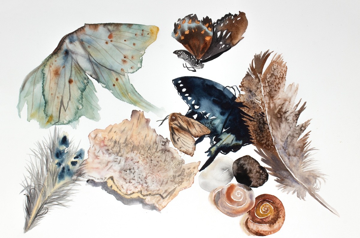 Elizabeth Becker, Nature Collection No. 1 Elizabeth Becker, Nature Collection No. 1