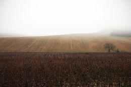 Fotografien, L'Aube a la campagne, Regis Duvignau