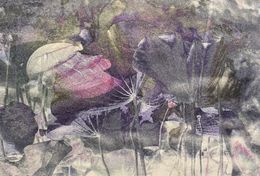 Photographie, Dream Of Fantastical Lotus, Theresa Son