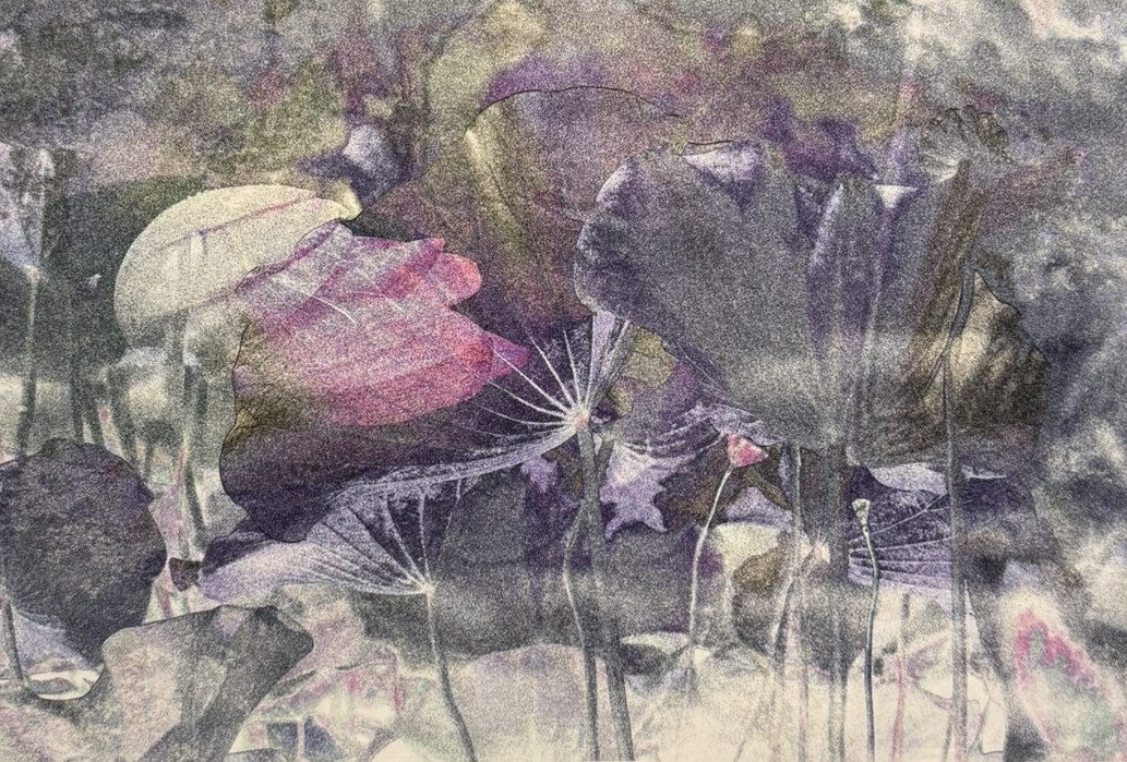 Theresa Son, Dream Of Fantastical Lotus Theresa Son, Dream Of Fantastical Lotus