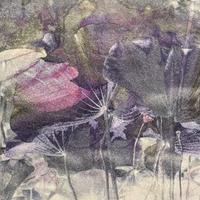 Photography, Dream Of Fantastical Lotus, Theresa Son