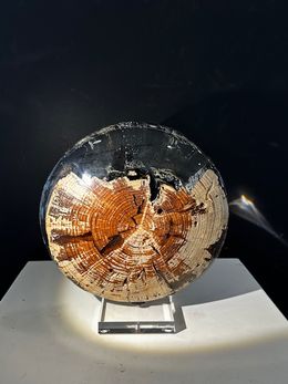 Sculpture, Sphère N°1541 Epicéa, Yann Perrier
