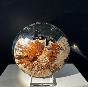 Sculpture, Sphère N°1541 Epicéa, Yann Perrier