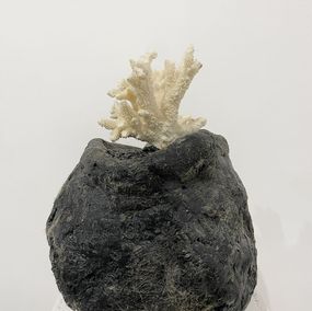 Sculpture, Boule 2, Jean-Luc Parant
