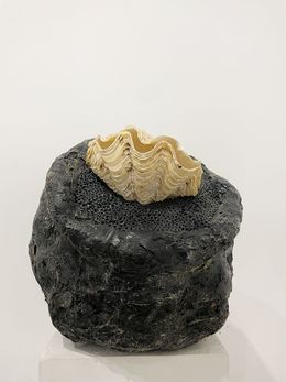 Sculpture, Boule 11, Jean-Luc Parant