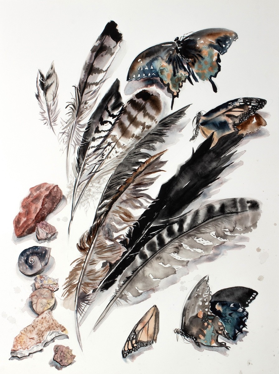 Elizabeth Becker, Nature Collection No. 3 Elizabeth Becker, Nature Collection No. 3