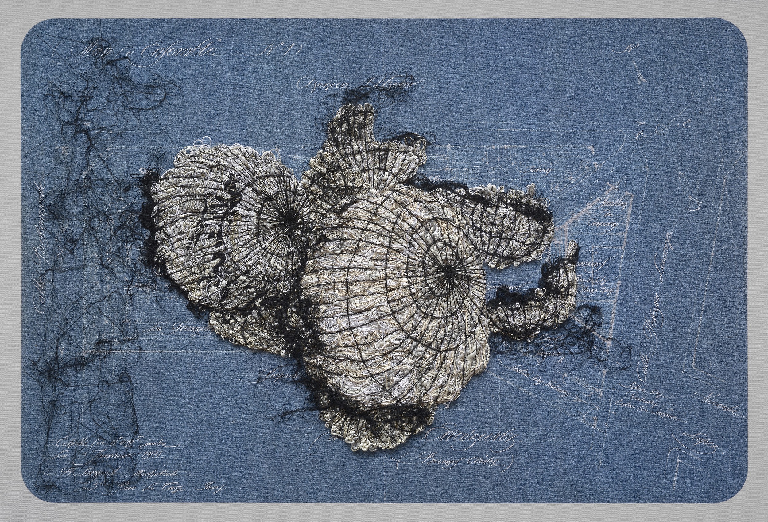 Ana Seggiaro, Untitled From The Durero Series Ana Seggiaro, Untitled From The Durero Series