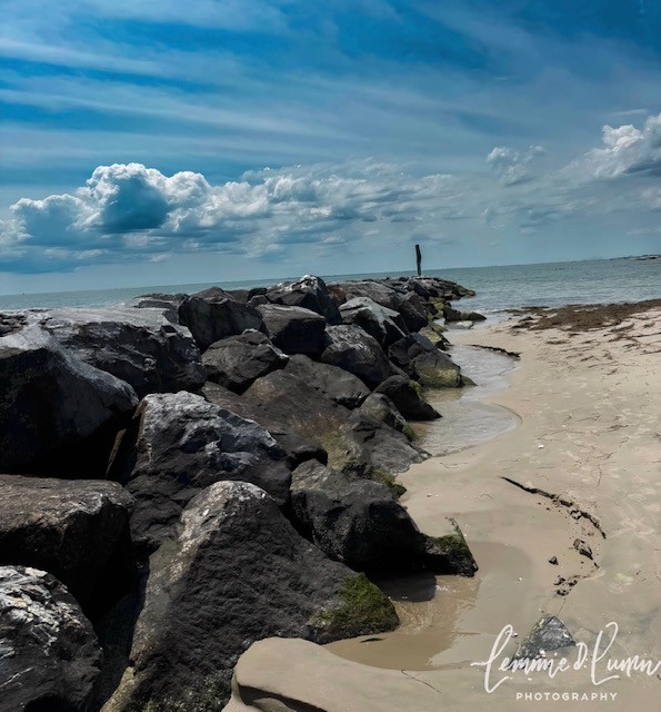 Lemmie M. Downs-Lunn, Jr., The land of Rock and Sand Lemmie M. Downs-Lunn, Jr., The land of Rock and Sand