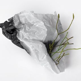 Sculpture, Transplantation 2, VAM