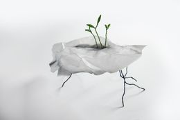 Sculpture, Transplantation 5, VAM