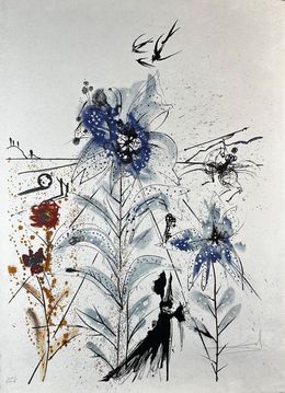 Drucke, Flower Magician, Salvador Dali