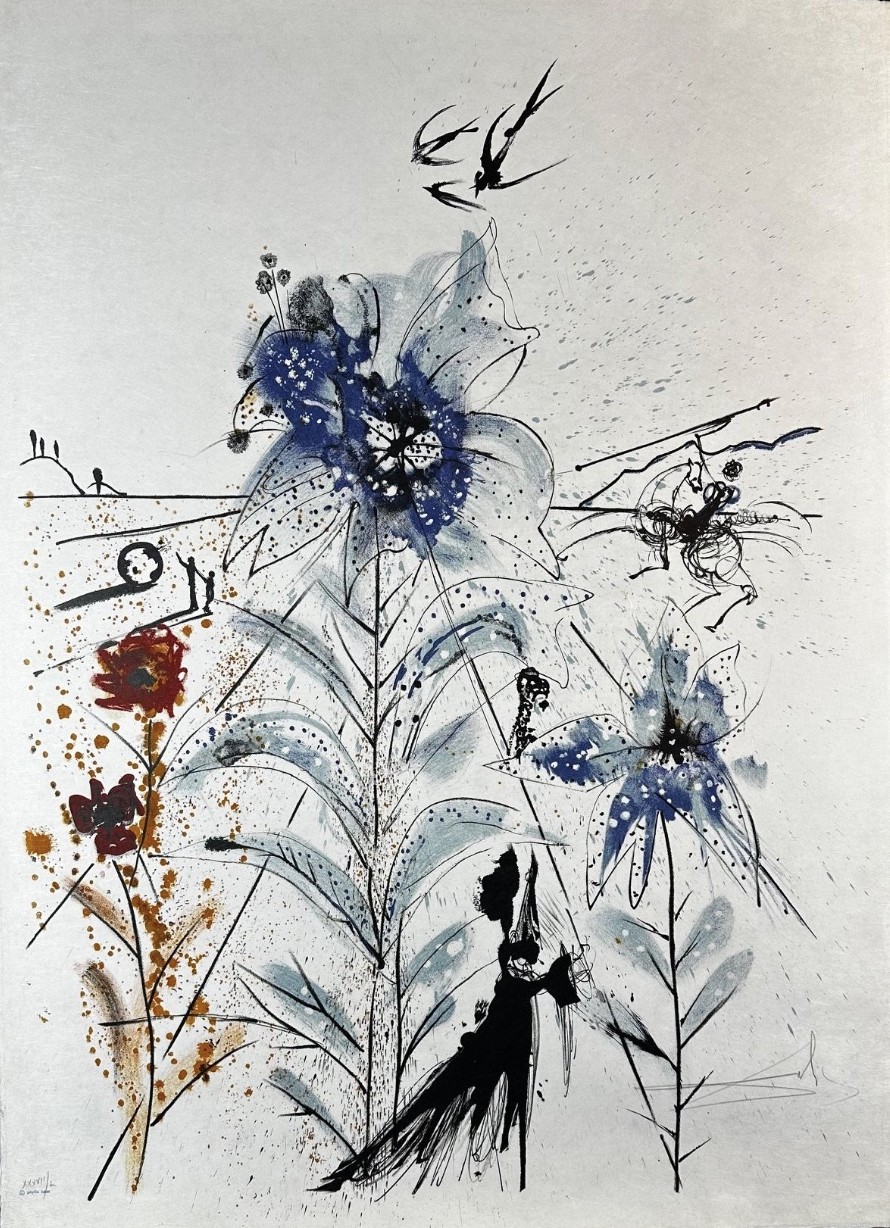 Salvador Dali, Flower Magician Salvador Dali, Flower Magician