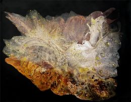 Peinture, Transition into gold, Clara Berta
