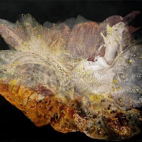 Gemälde, Transition into gold, Clara Berta