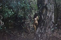 Gemälde, La Verdadera Naturaleza, Sebastian Martinez Fadic