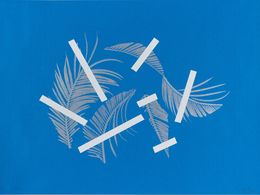 Print, Tamanoir, Denis Savary