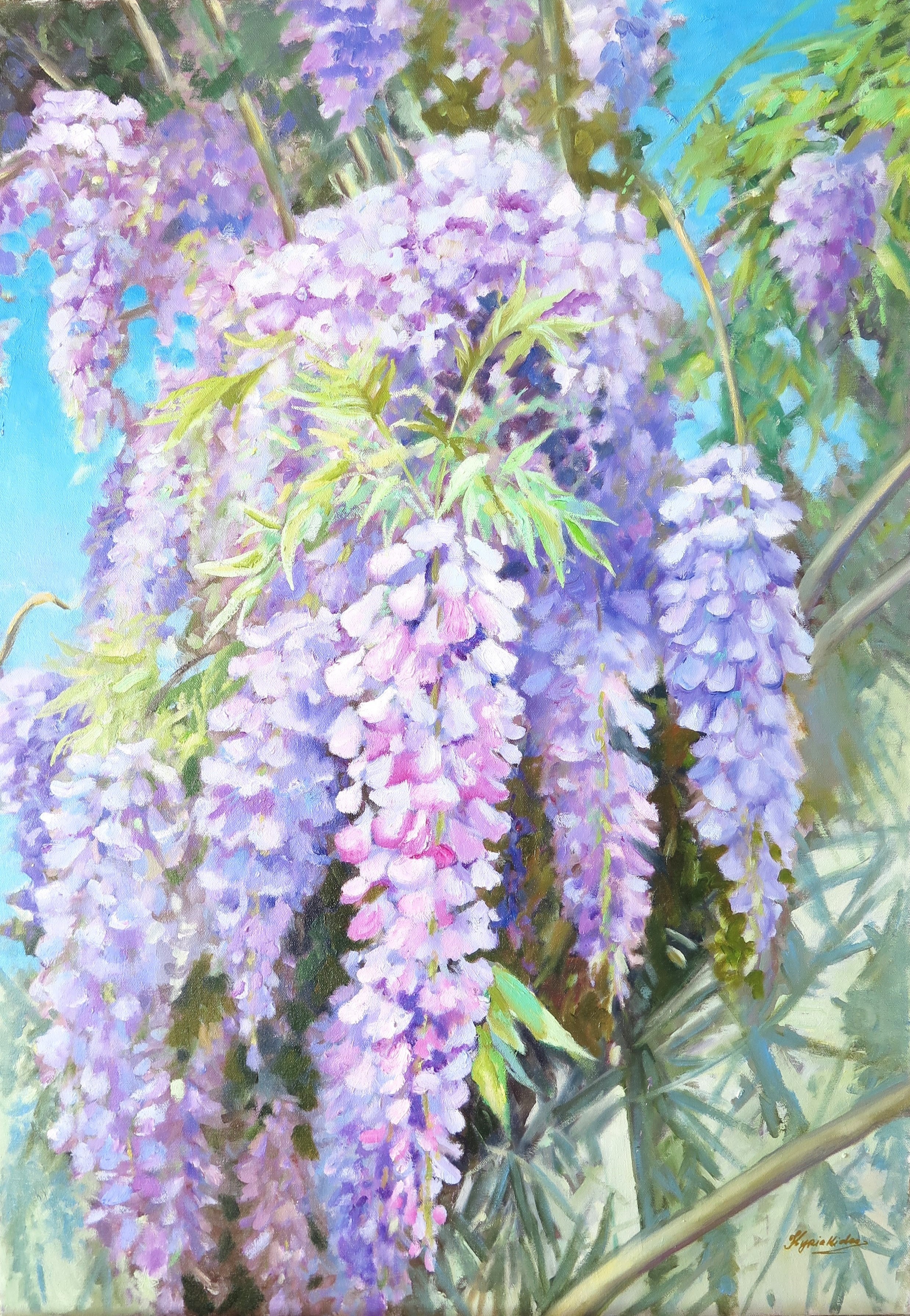 Tatiana Kyriakidou, Wisteria Tatiana Kyriakidou, Wisteria