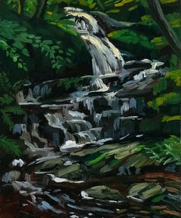 Gemälde, Fire Brook Falls, Adam Gunn