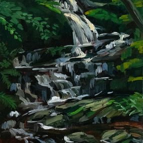 Gemälde, Fire Brook Falls, Adam Gunn