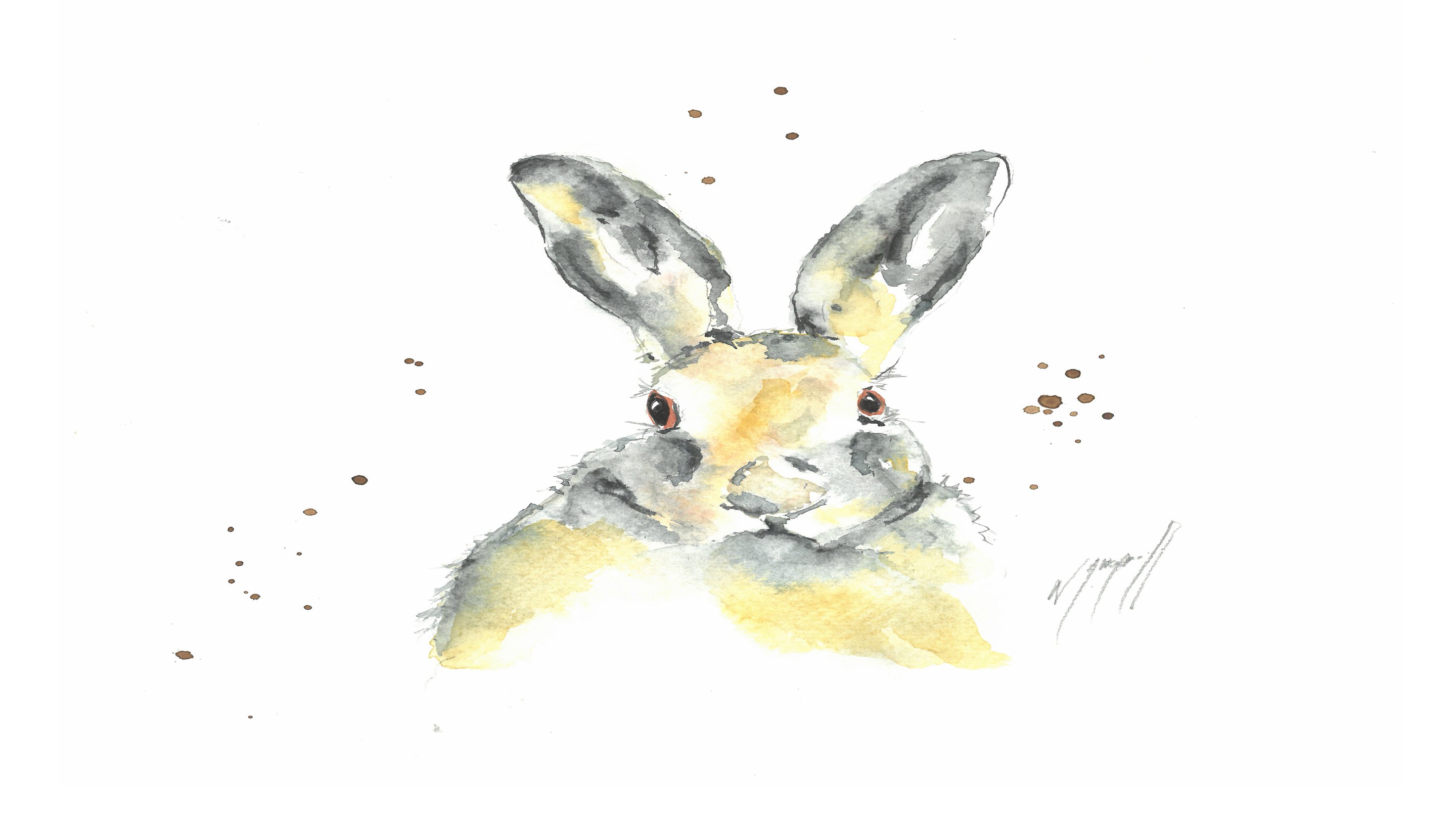Noël Granger, My lucky white Rabbit ! Noël Granger, My lucky white Rabbit !
