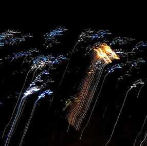 Photography, Dragon, Tony Lian