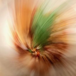 Photographie, Desirous, Tony Lian