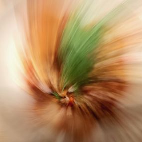 Photography, Desirous, Tony Lian