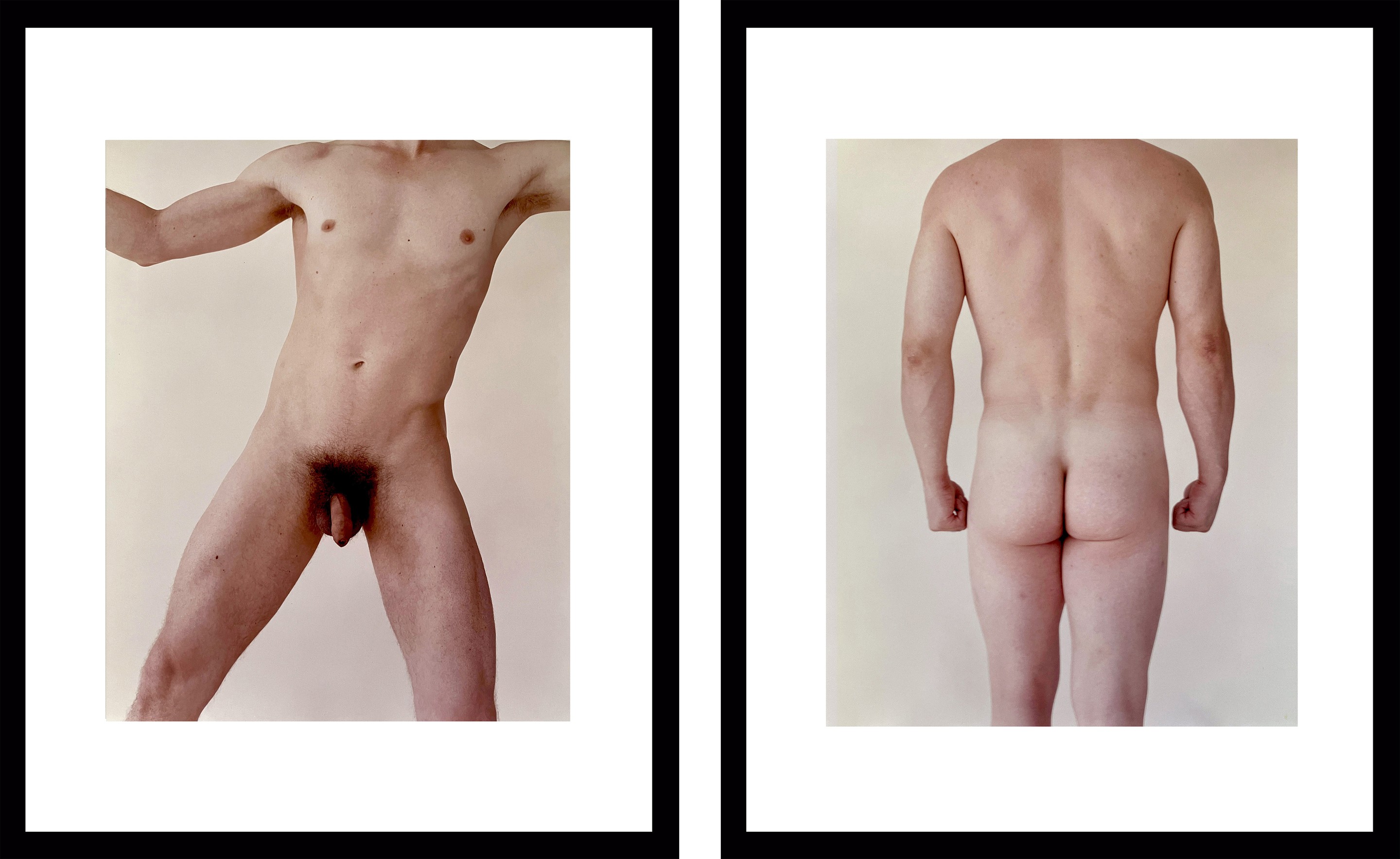 Michael James O'Brien, Kouros Pale and Back Diptych. Framed Michael James O'Brien, Kouros Pale and Back Diptych. Framed