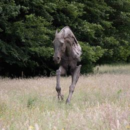 Sculpture, Cheval, monumentale, Christophe Charbonnel