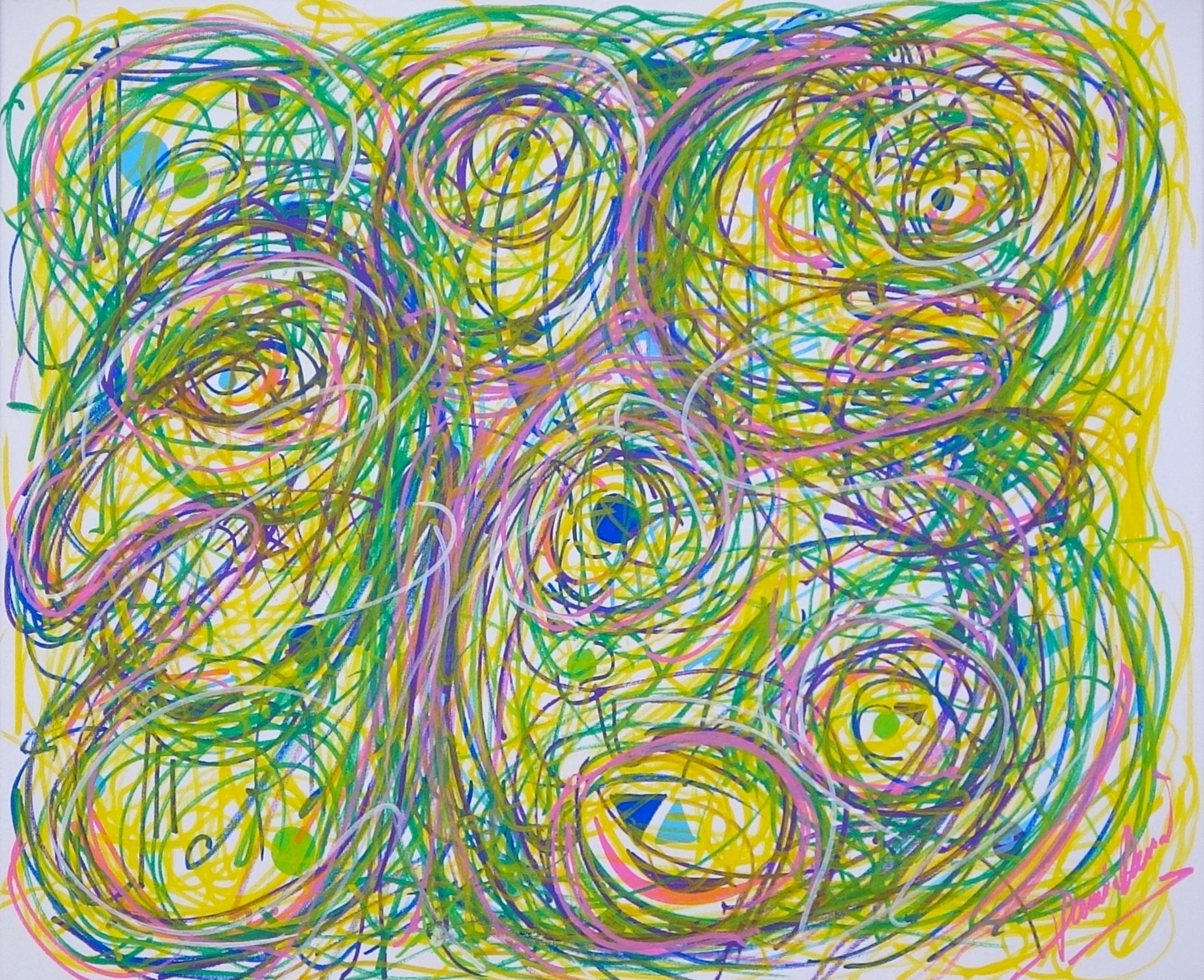 Damien Berrard, Observations Damien Berrard, Observations
