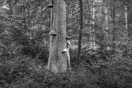 Fotografien, La lune n'a rien à craindre des loups #12, VAM / Jean-Pierre Gilson
