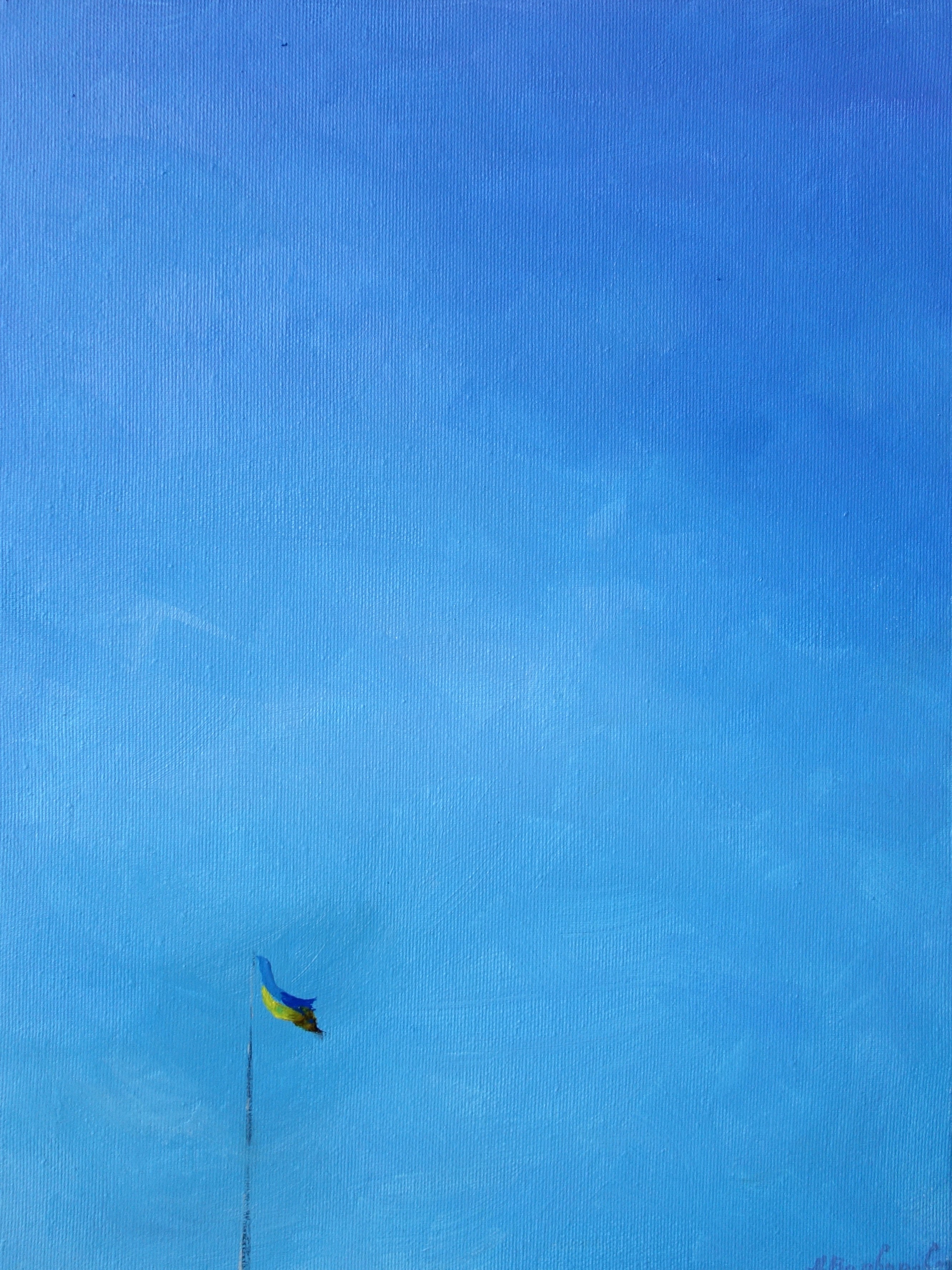 Anatoly Varvarov, Flag Anatoly Varvarov, Flag
