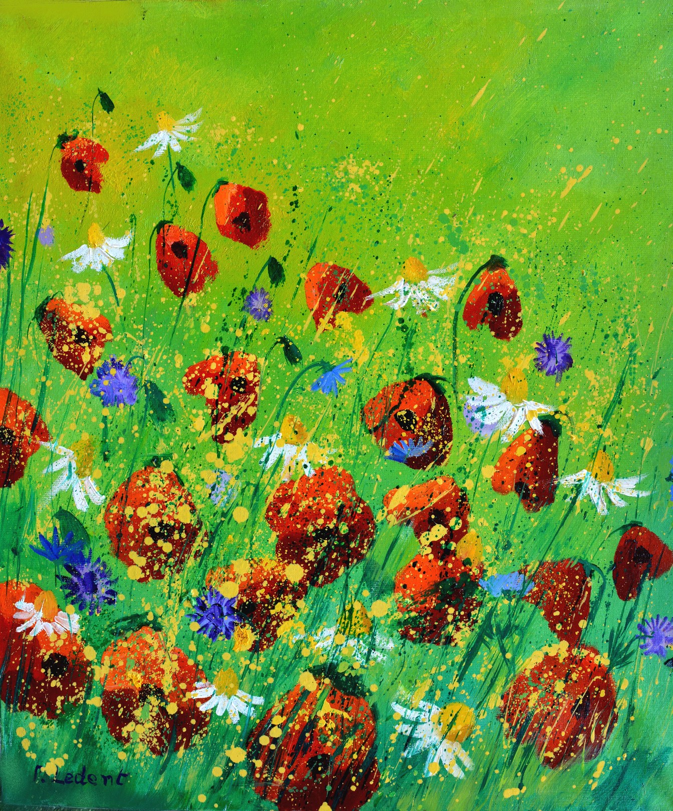 Pol Ledent, Red poppies Pol Ledent, Red poppies