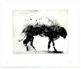 Drucke, Lanzarote 8, Miquel Barceló