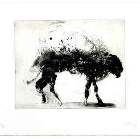Print, Lanzarote 8, Miquel Barceló