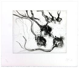 Édition, Lanzarote 25, Miquel Barceló