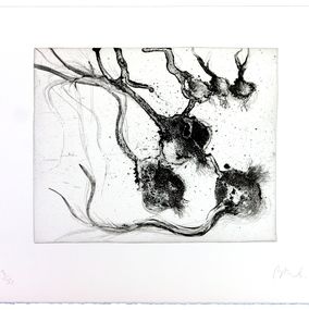 Print, Lanzarote 25, Miquel Barceló