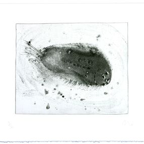 Print, Lanzarote 39, Miquel Barceló