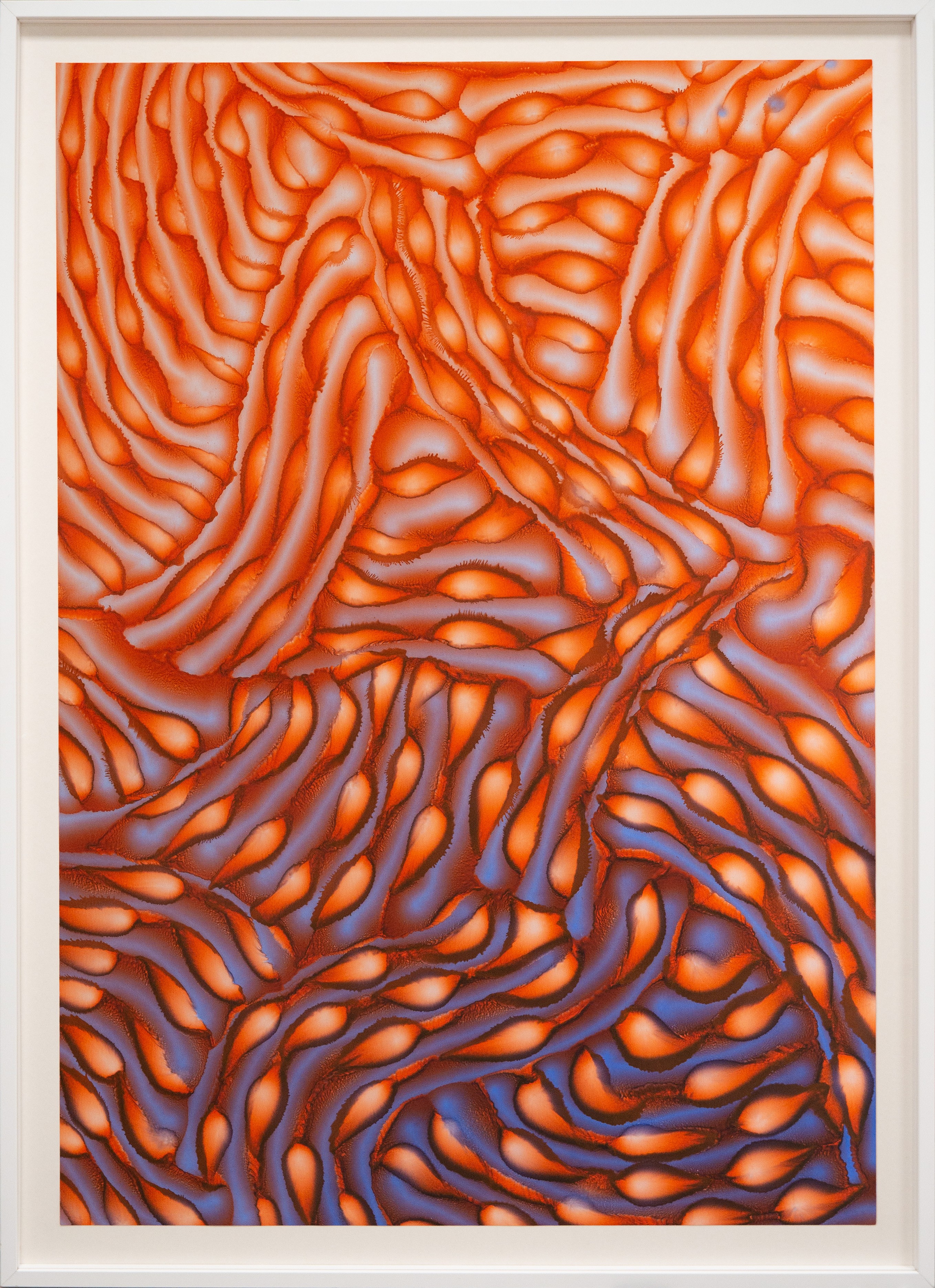 François Nugues, Orange blue spring François Nugues, Orange blue spring