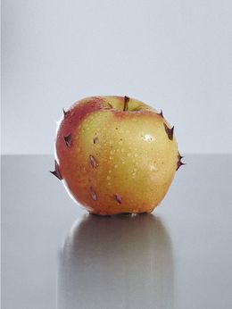 Photography, Love poem, Sofia Alazraki