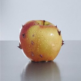 Photography, Love poem, Sofia Alazraki